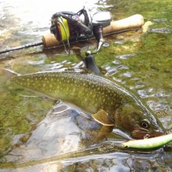 渓流ミノーイング